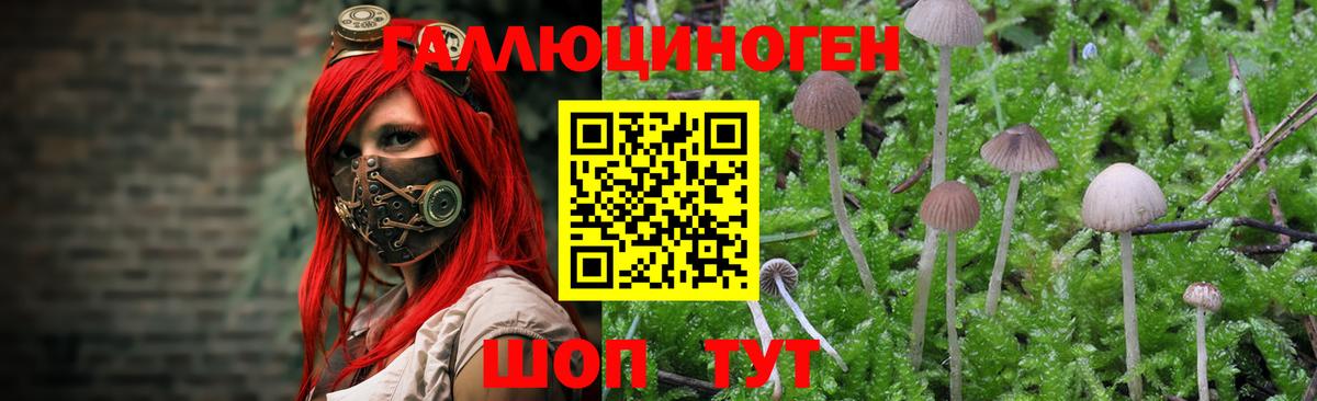 Псилоцибиновые грибы Psilocybine cubensis  Вход с VPN  Котлас  Галлюциногенные грибы мухоморы 